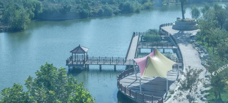 途客酒店(平阴卓亚香格里店)图片