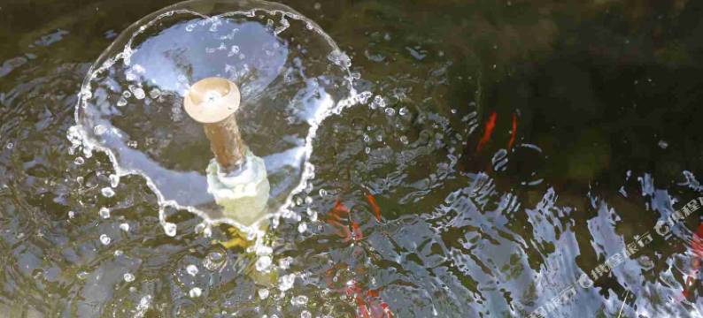 查济宝庆堂客栈图片