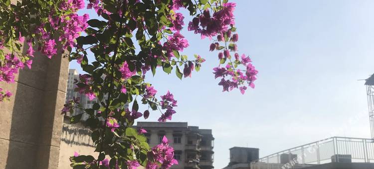衡阳紫蔷薇宾馆(衡阳火车站店)图片
