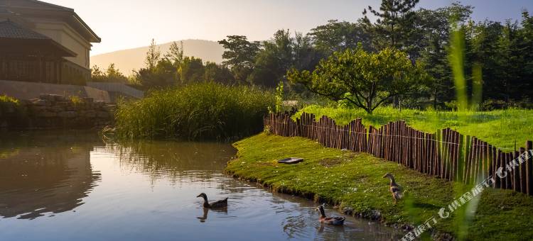 徐州宝信君澜度假酒店图片