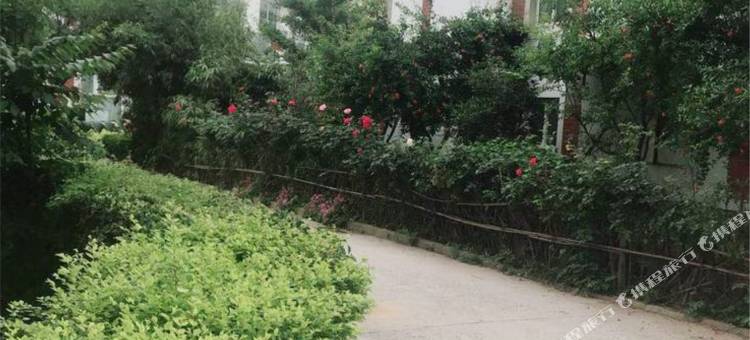 左泽电竞山庄(黄山北门店)图片