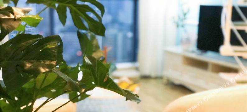 成都云朵耳公寓(宁夏街分店)图片