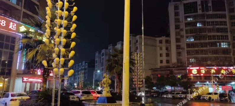 樟树金怡精品酒店(四特大道分店)图片