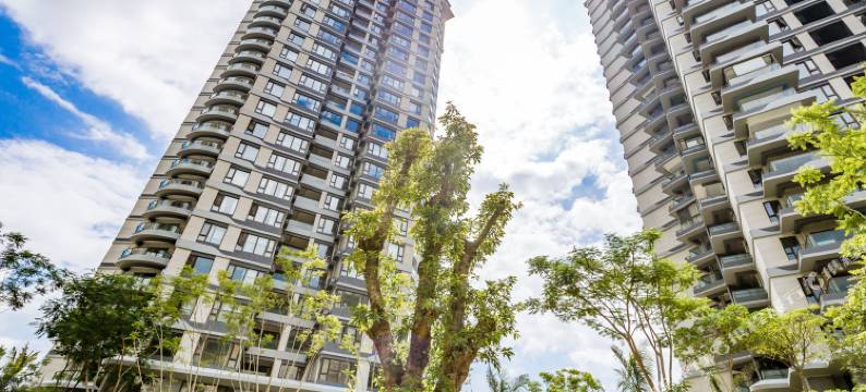 西双版纳赵红卫公寓(3号店)图片