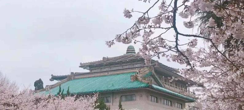 武汉泰和宾馆图片