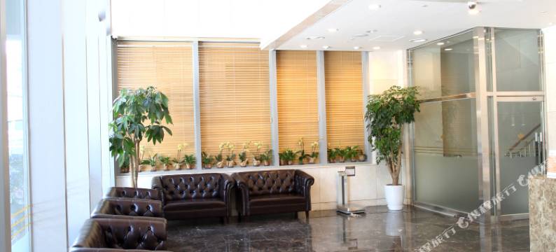 天空花园酒店东大门1号店(Hotel Skypark Dongdaemun I)图片