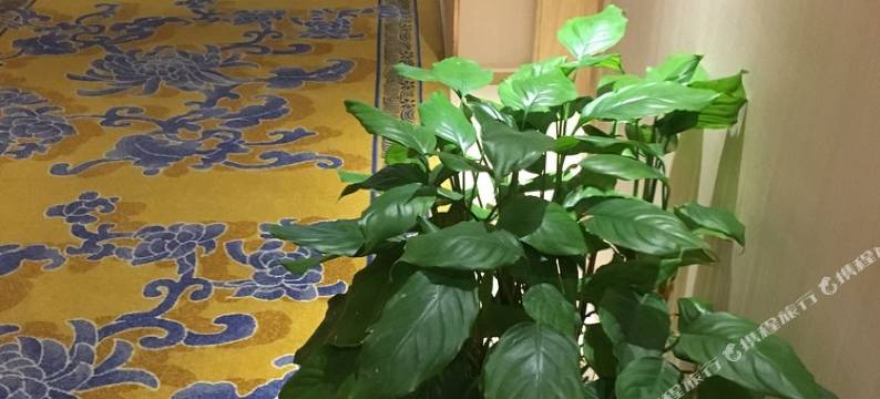 荆门Vlin公寓图片