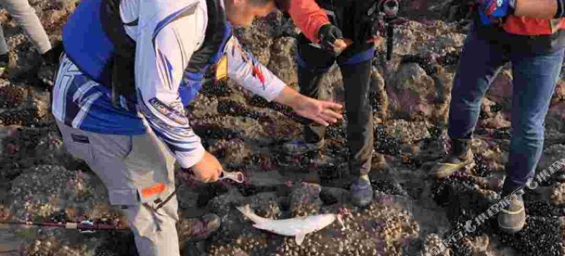 嵊泗寒舍民宿图片