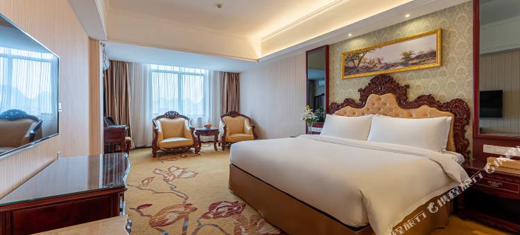 维也纳酒店(靖西中山公园店)图片