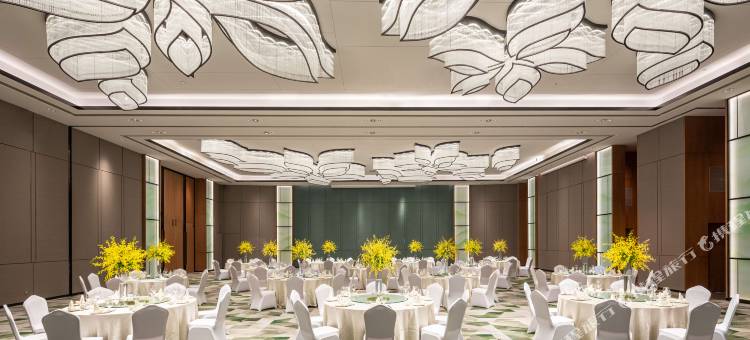 龙湖霞菲公馆(滨江龙湖天街店)图片