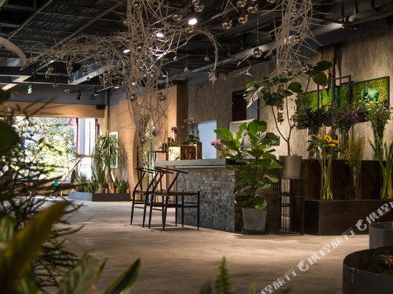 昆明花拾年花艺生活美学设计师酒店(金马碧鸡坊南屏街店)