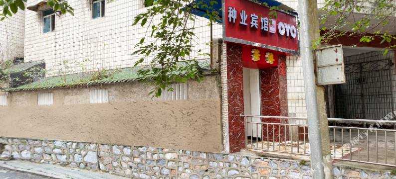 涪陵种业宾馆(泽胜中央广场店)图片