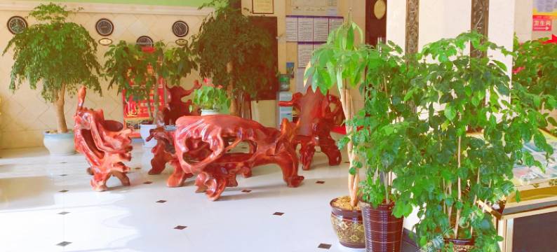 龙泉大酒店(文山七花广场民族村店)图片