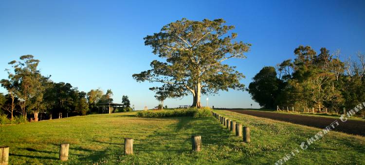 图文巴盛橡酒店(Oaks Toowoomba Hotel)图片