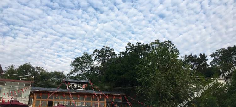 张家界栋角树民宿图片