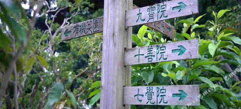 非遗文化村(大鹏所城店)图片