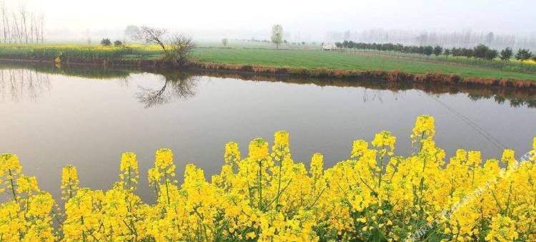 左岸·轻居酒店(泰兴万达吾悦广场店)图片