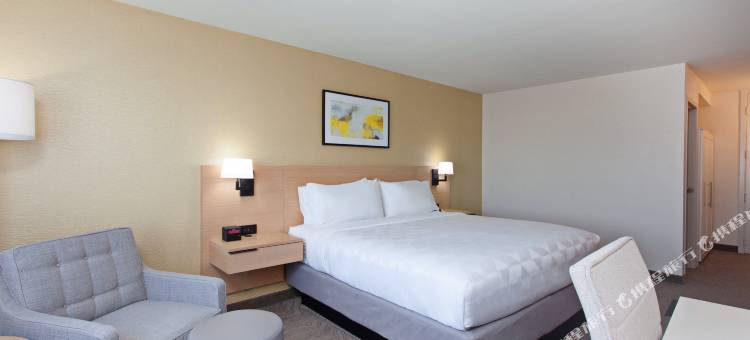 洛杉矶 - 洛杉矶国际机场假日酒店(Holiday Inn Los Angeles - LAX Airport)图片