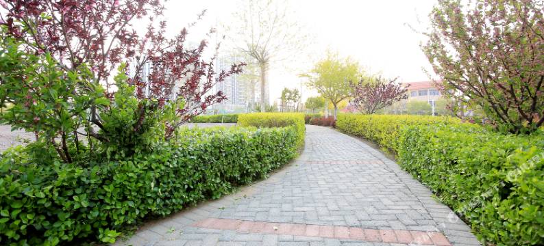 千禾沐海景公寓酒店(南戴河仙螺岛店)图片