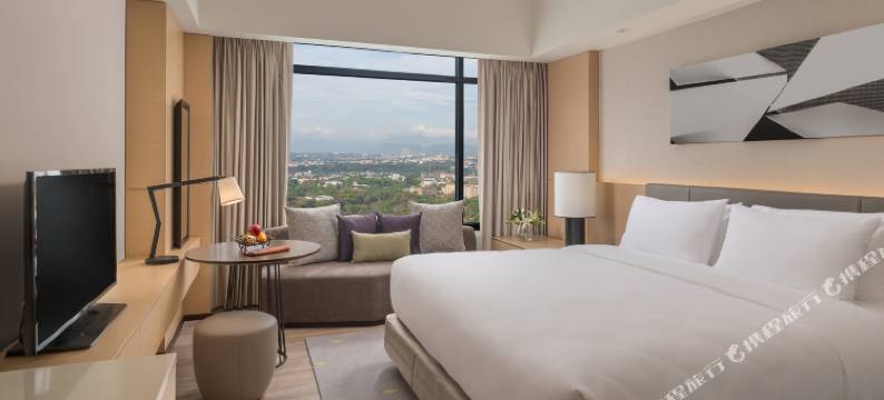 塞达维蒂斯北酒店(Seda Vertis North Quezon City)图片