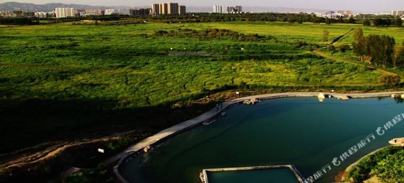 正和酒店(包头赛罕塔拉城中湿地草原店)图片