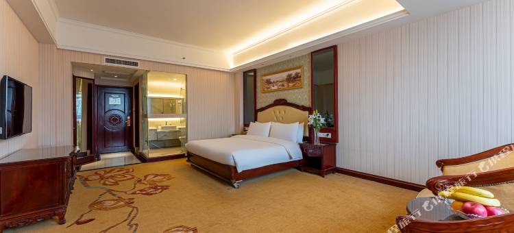 维也纳酒店(靖西中山公园店)图片