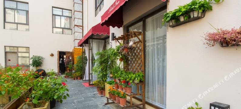 索特来创意酒店(温州新城会展中心店)图片