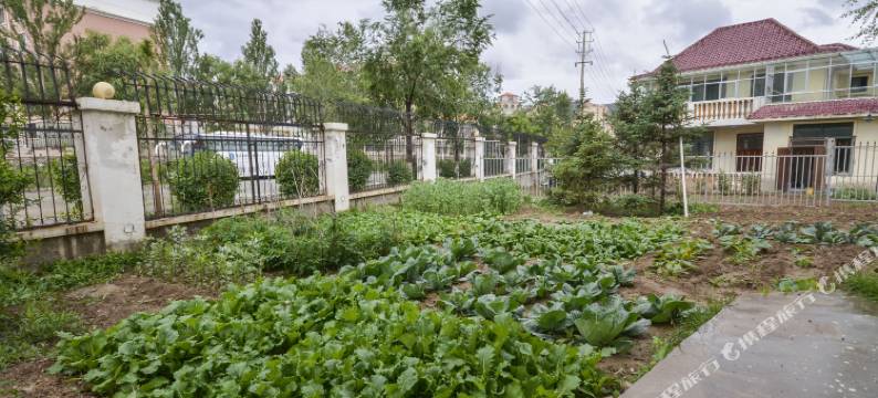 西宁鑫喜园别墅宾馆图片