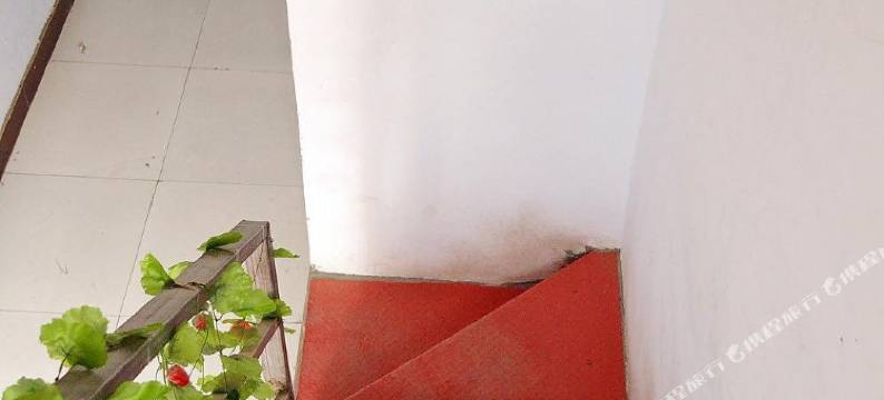 郑州森林宾馆图片