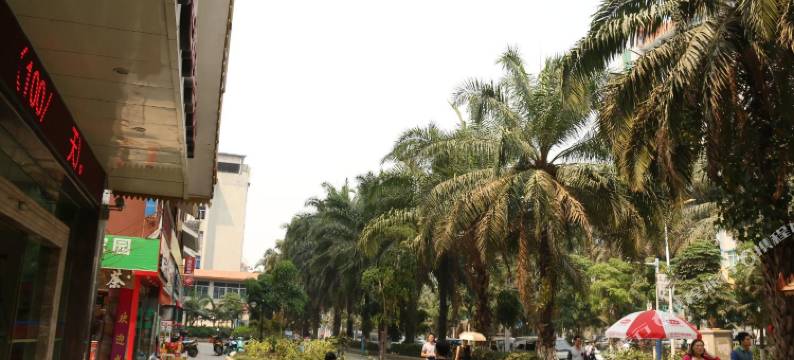 景洪金色港湾大酒店图片