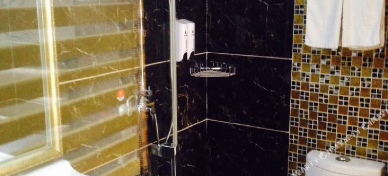 芜湖港悦精品酒店图片