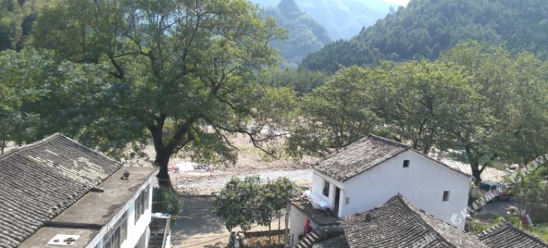 仙居竹香雅舍图片