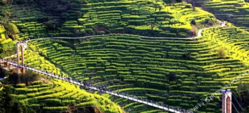 婺源舒雅客栈图片