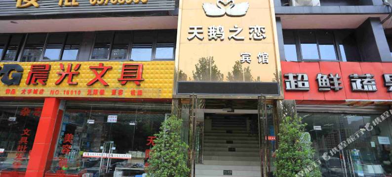 重庆天鹅之恋宾馆图片