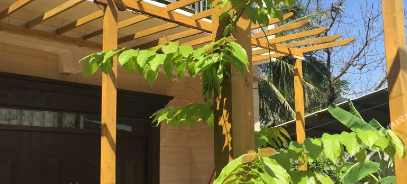 天涯海角时光花园海景客栈(三亚南山店)图片