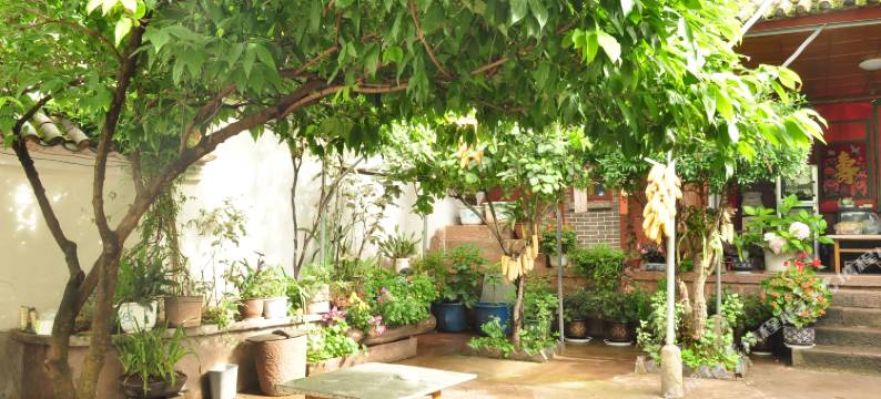 云龙五云幽兰客栈图片