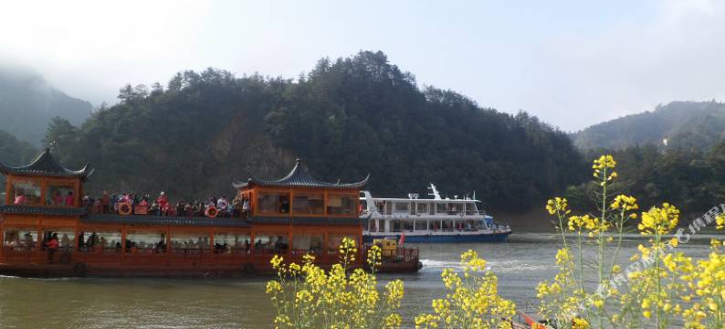 歙县深渡恬港农家乐图片