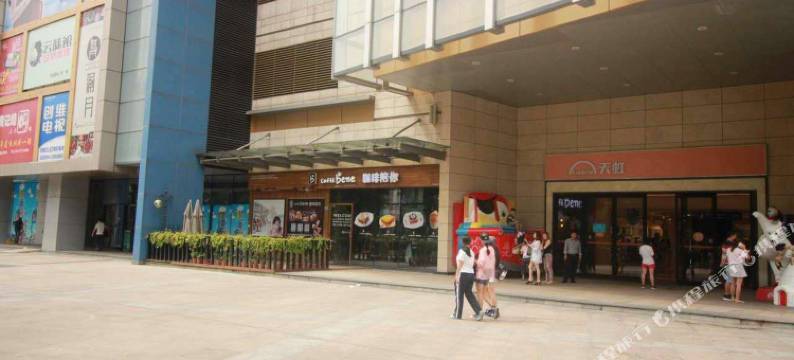 深圳笨猪青年旅舍图片