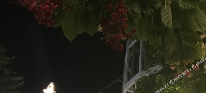 厦门海岸朵拉旅馆图片