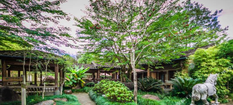 武夷山九龙湾易家庭院客栈图片