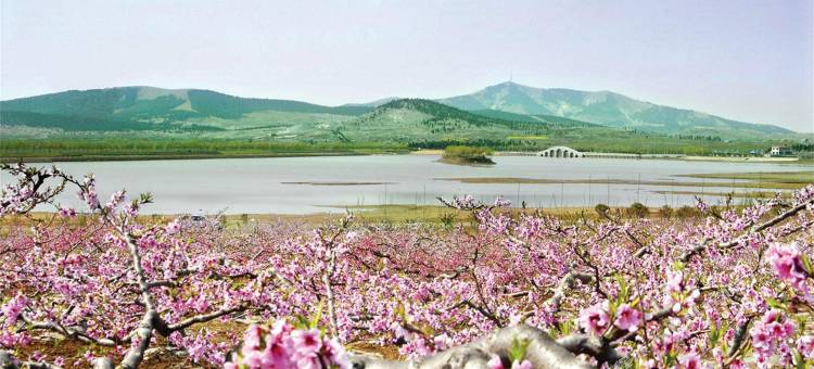 格林豪泰酒店(徐州贾汪区政府店)图片