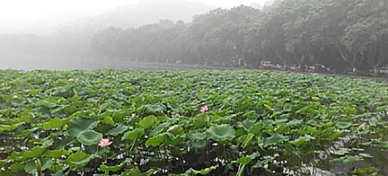 杭州甲乙丙丁时尚酒店(西湖青芝坞店)图片