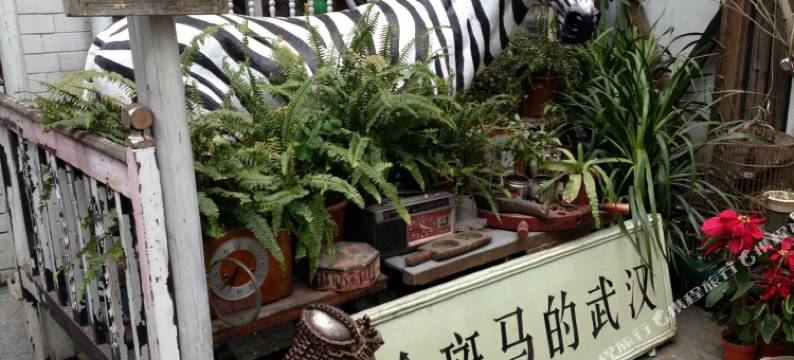 美嘉城市客栈(武汉武广店)图片