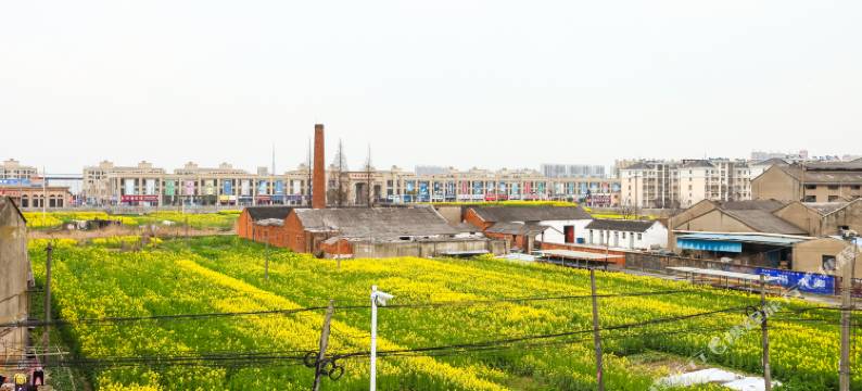 靖江绿岛宾馆图片