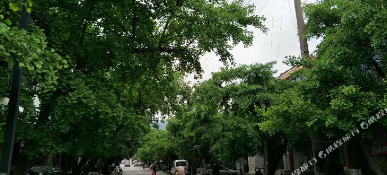 苏州银杏客栈图片