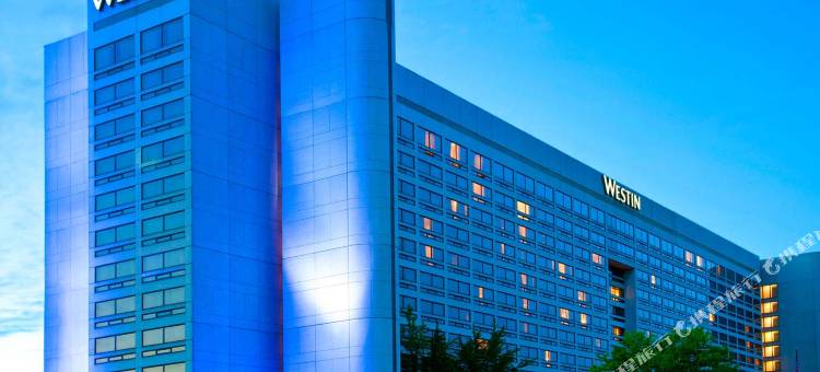 奥黑尔威斯汀酒店(The Westin O'Hare)图片