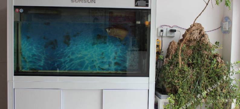 广饶珑悦商务宾馆图片