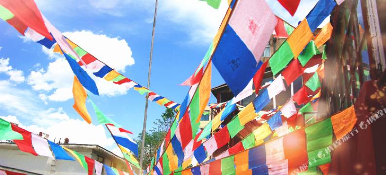 西宁卧雪驼铃青年旅舍图片