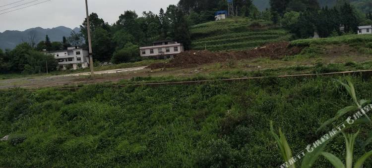 奉节雅轩宾馆(兴隆镇店)图片