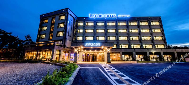 莱斯利酒店(Leslie Hotel)图片